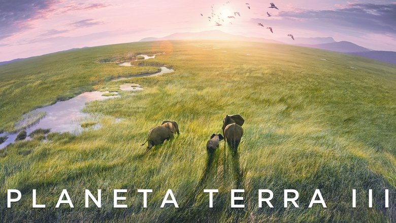 Gallery image from fn5EV30IJMSRrpbN3SPAhueXQgP.jpg