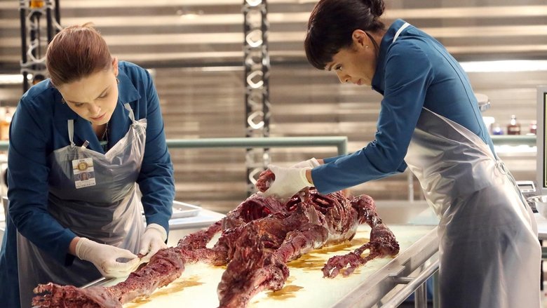 Ver Episodio Bones: 11x17 Online Castellano Latino Subtitulado - Gnula
