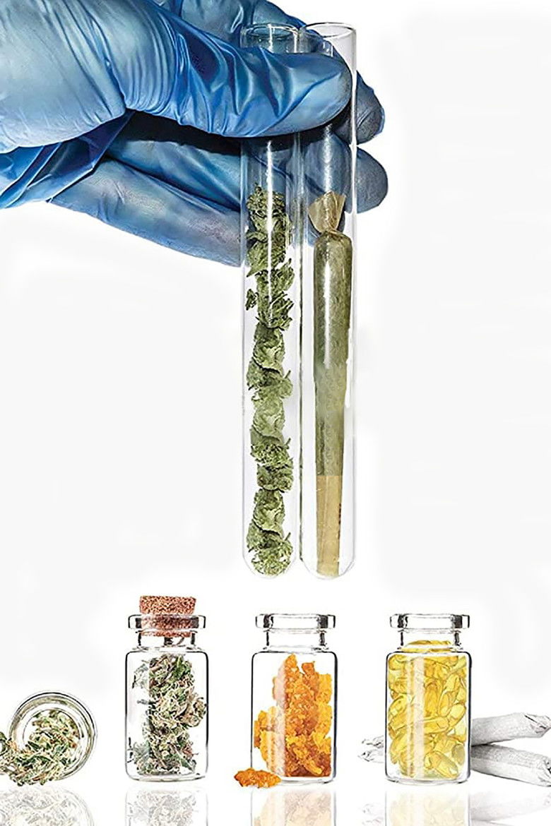 Imatge de Cannabis Evolution