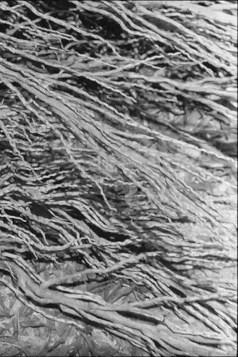 Imatge de Lumphini 2552