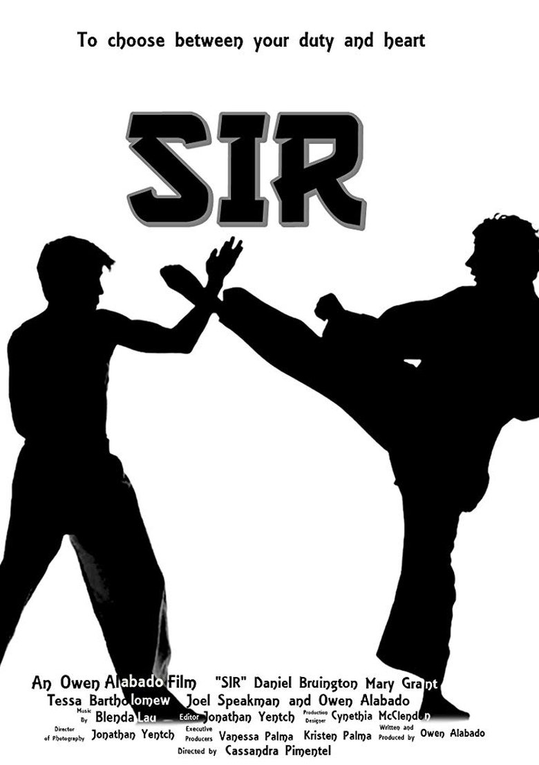 Sir main poster