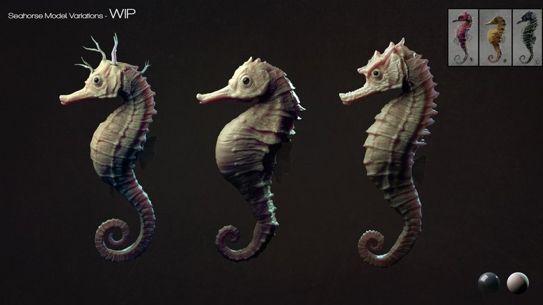 The Seahorse Trainer main backdrop