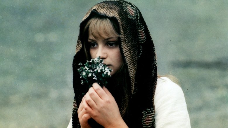 Ballad for a Bandit (1979)