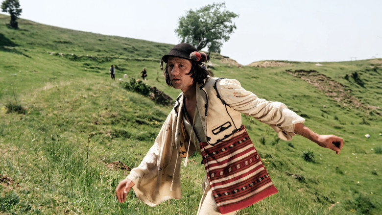 Păcală backdrop 2