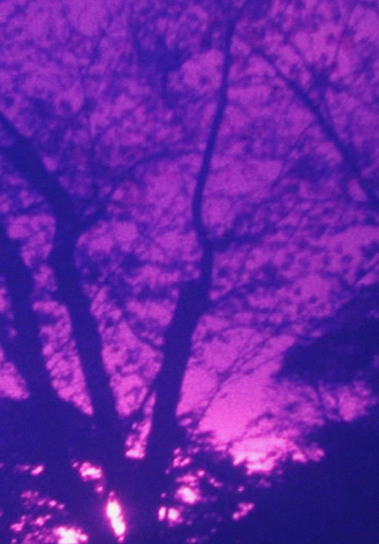 Film backdrop