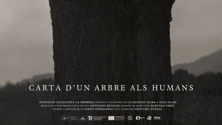 Carta d’un arbre als humans 2