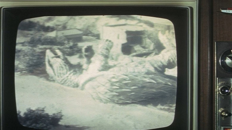 Image d'arrière-plan 11 du film Gamera 2 - Gamera vs Barugon