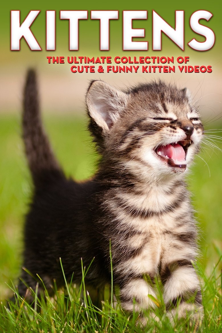 Kittens The Ultimate Collection of Cute & Funny Kitten Videos main poster