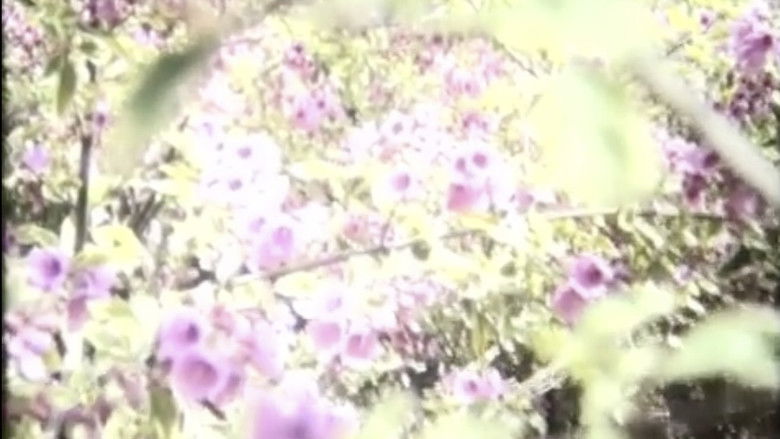 Gallery image from fr4VzYbzgPicVHAuvvX6UTn4BUf.jpg