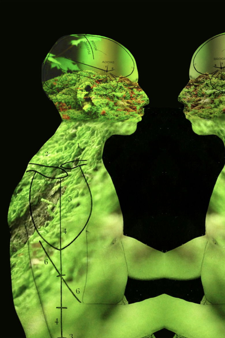 Imatge de Everything Wrong and Nowhere to Go