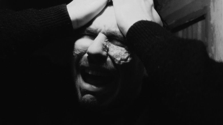 Gallery image from frb4lXRvXOkyCxl330szvnEHTfT.jpg