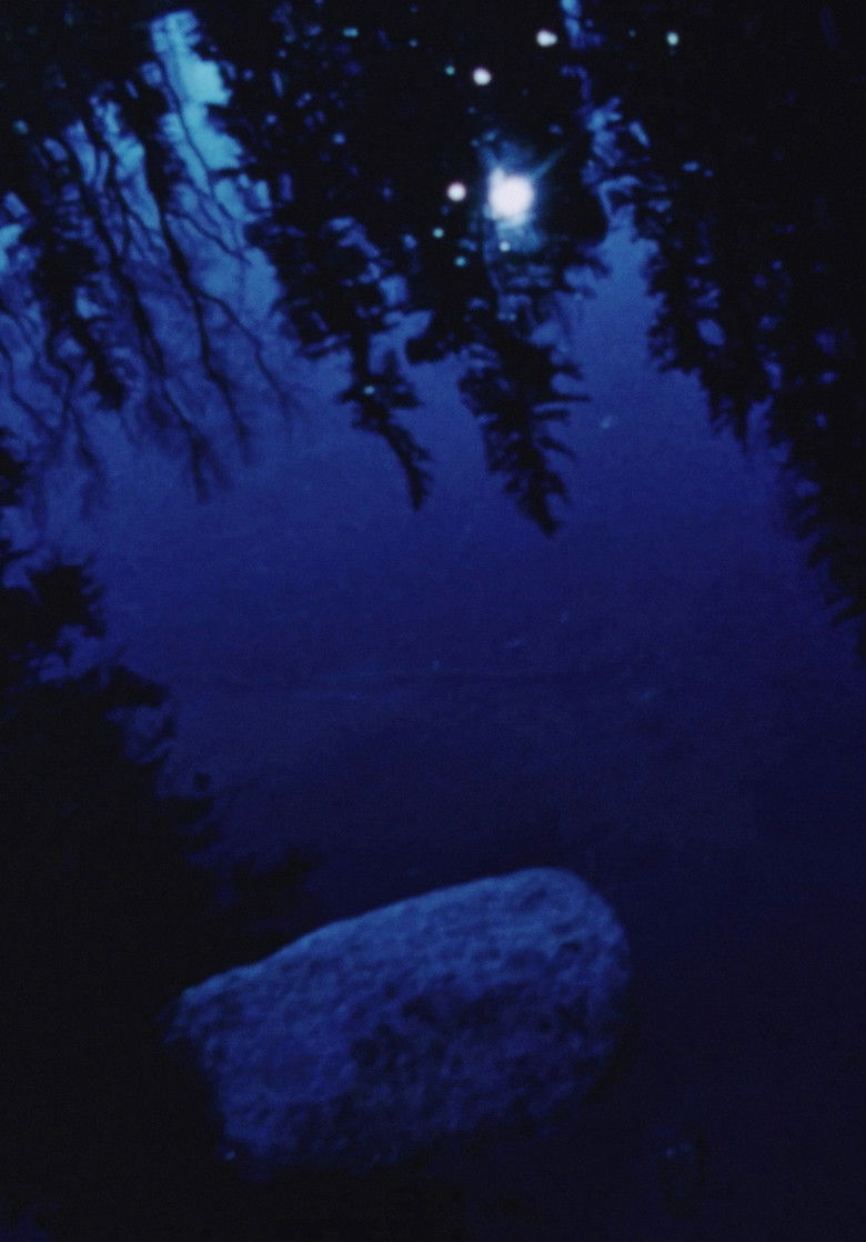 Imatge de Swimming Stone