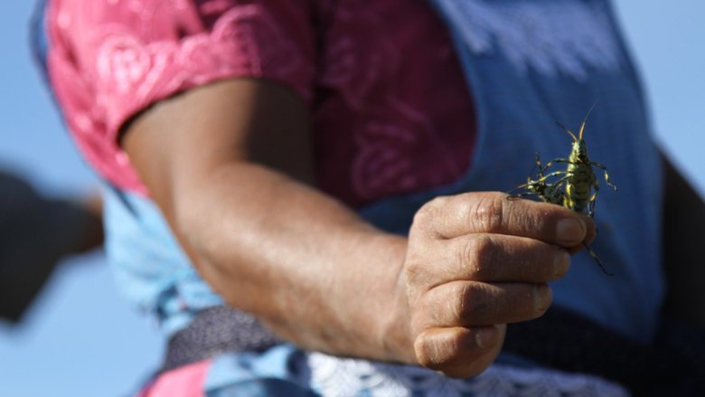 Still image for The Big Picture with Kal Penn season 1 episode 8: Eat This! Still image for The Big Picture with Kal Penn season 1 episode 8: Eat This!