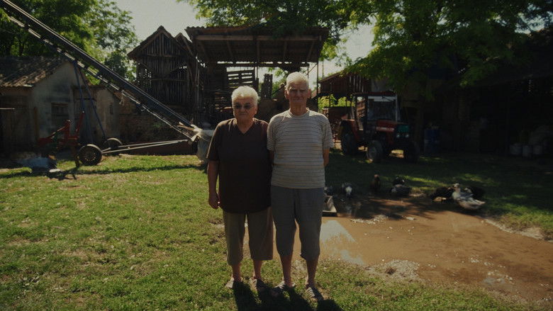 Gallery image from fthGmXc1D8zvr4PCnFTrQRozvs4.jpg