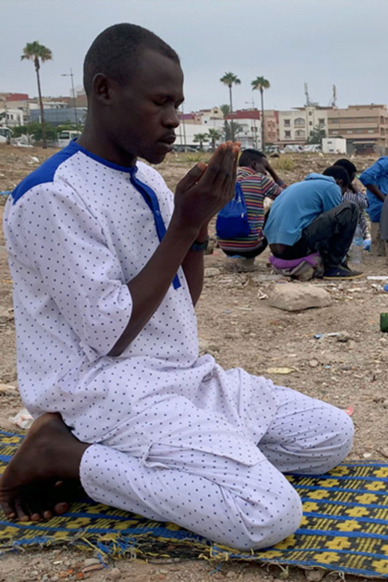 Imatge de This Jungo Life