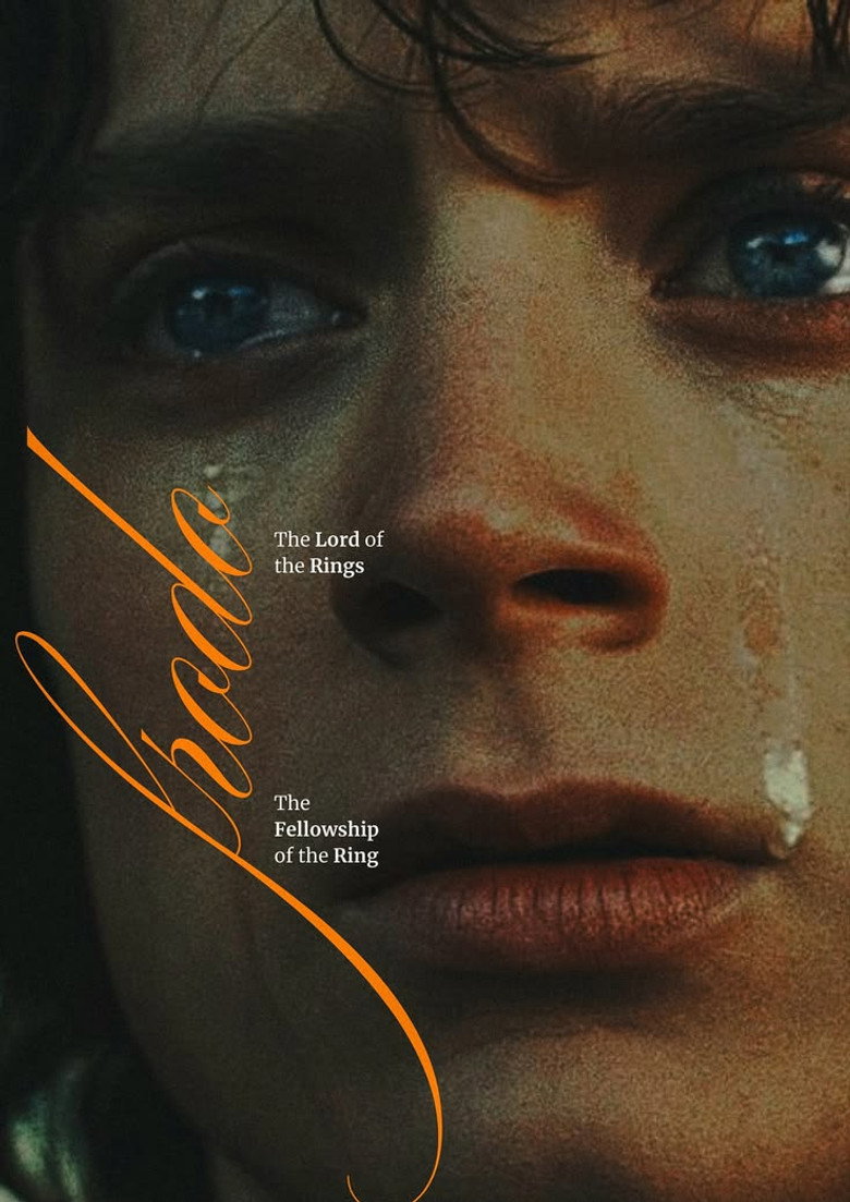 Póster la Película
