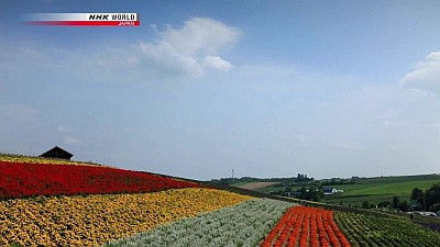 Still image for Cycle Around Japan season 1 episode 2: Summer: A Journey Across Hokkaido