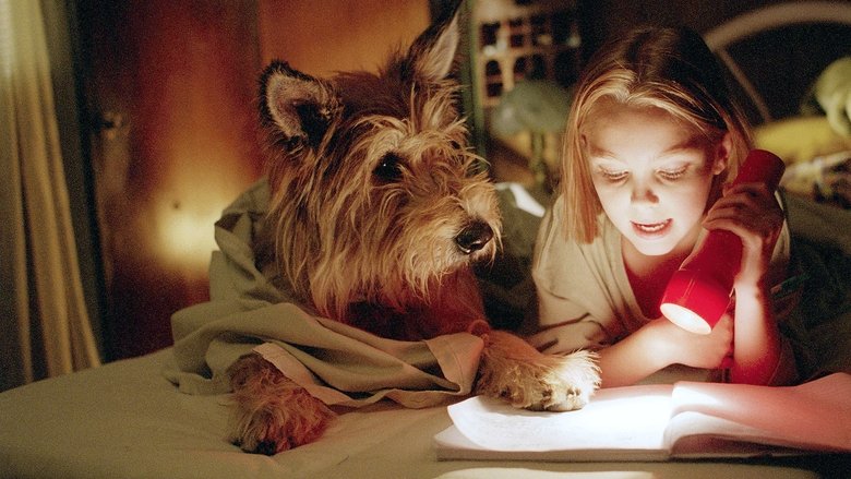 Because of Winn-Dixie (2005)