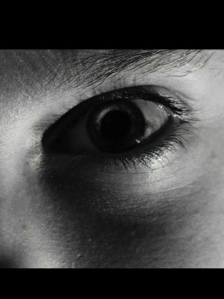 Imatge de Anima Animus