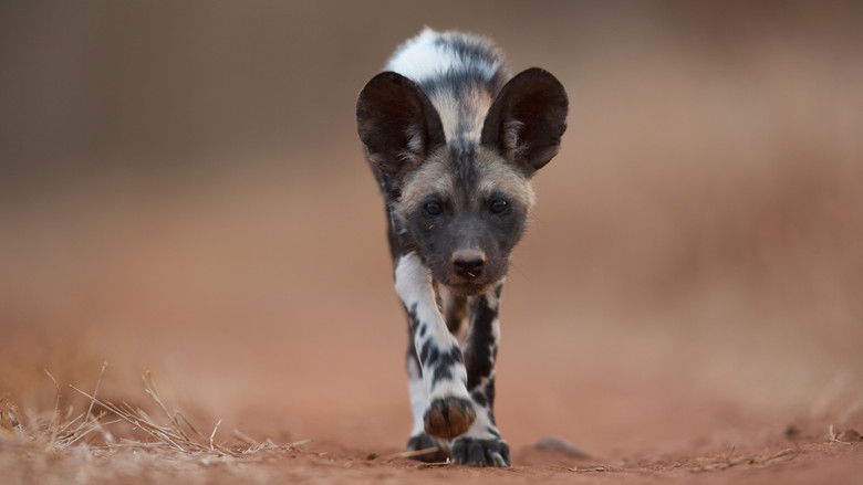 Gallery image from fwxc54LZuBmlGj1TuXlddayGS7k.jpg