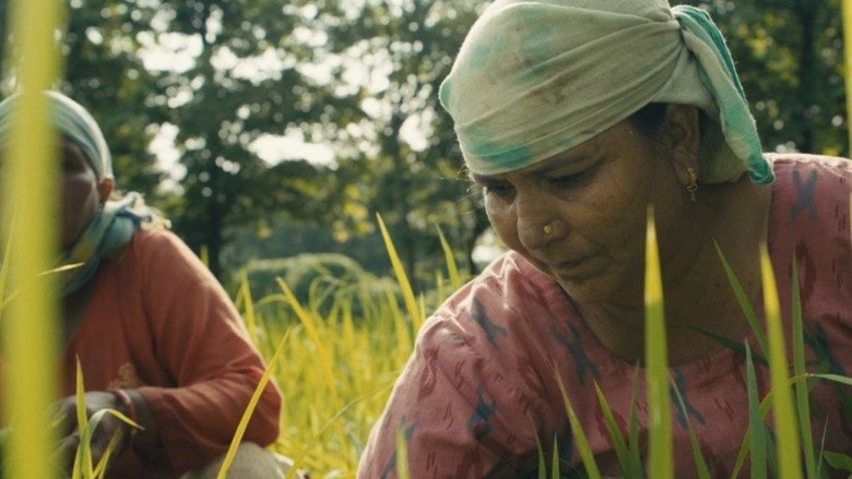 Gallery image from fxBS2h8VnbyZg36B2NhPQDgW8v7.jpg