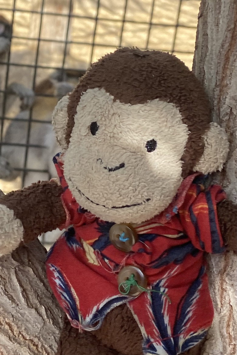 Joe Monkey