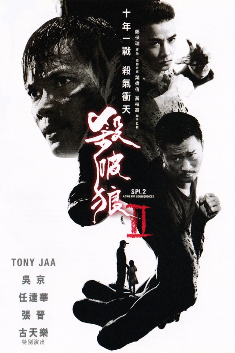 殺破狼2 (2015)