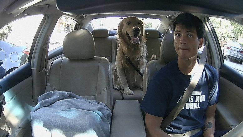 Image d'arrière-plan 5 du film Dropping Off