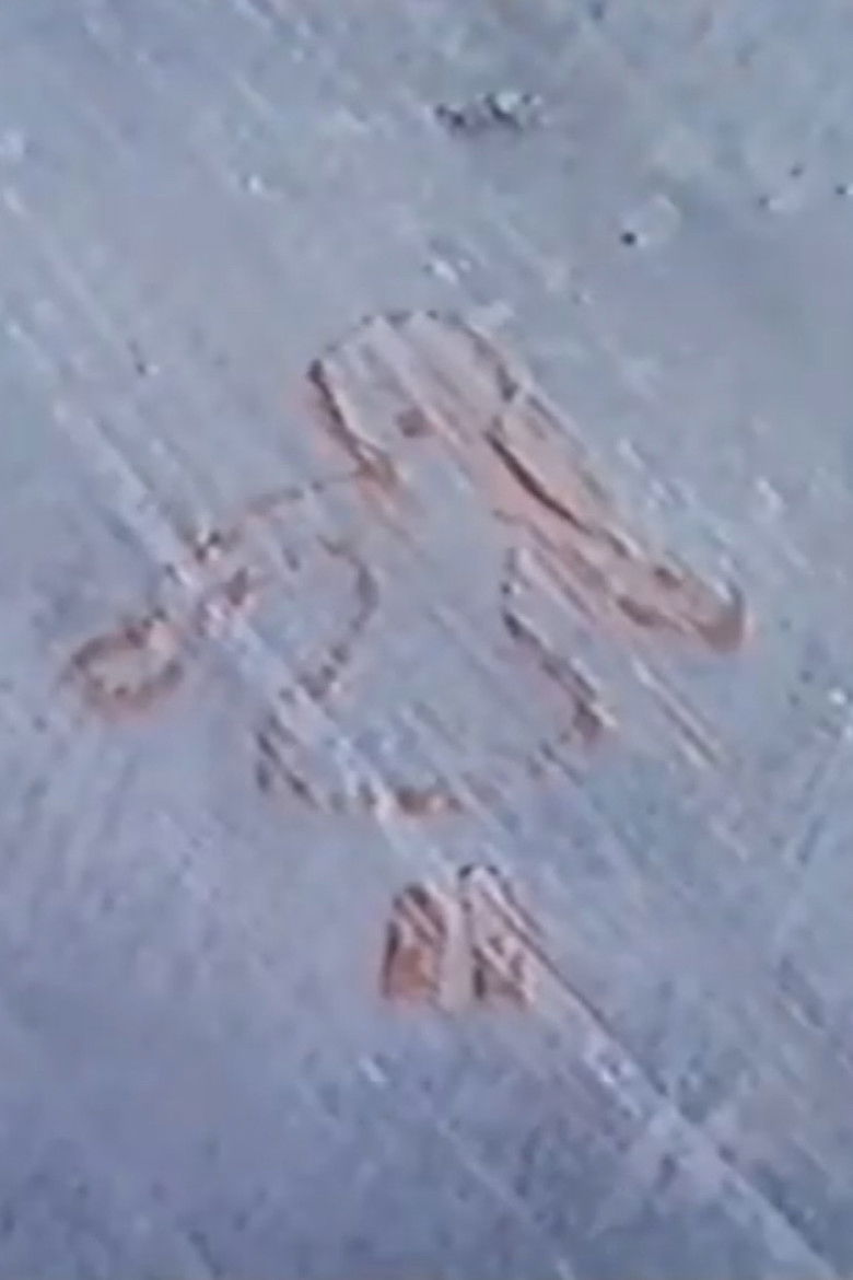 Imatge de כך שאני מטושטשת