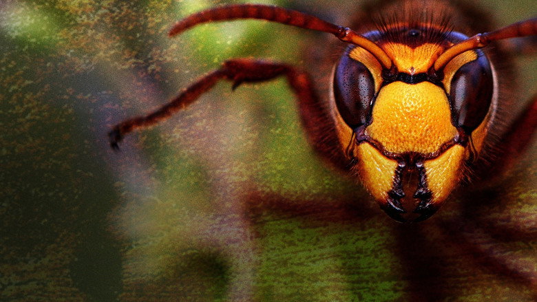 Killer Hornets from Hell galeri 2