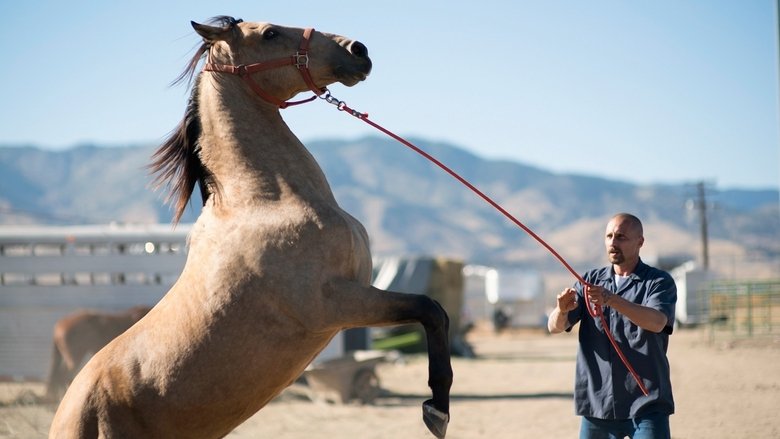 The Mustang: La Rehabilitación