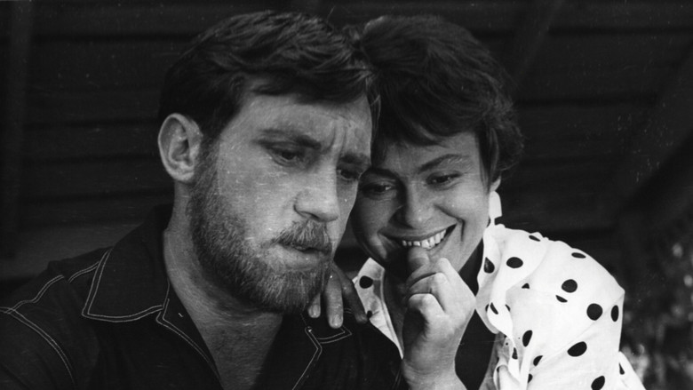 Image d'arrière-plan 8 du film Brèves Rencontres