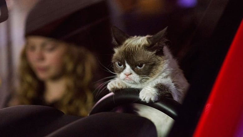 مشاهدة فيلم Grumpy Cat’s Worst Christmas Ever 2014 مترجم أون لاين بجودة عالية