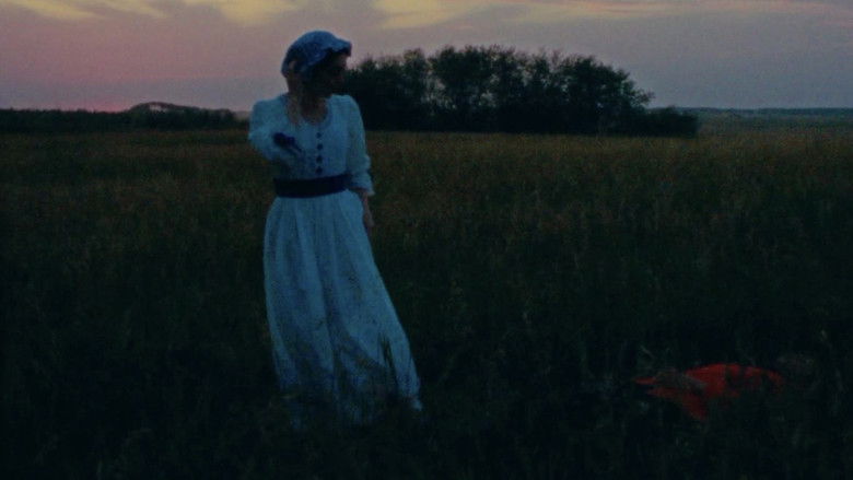 Gallery image from fzPi77sgzKRhCB2sAOGfrY6Gx2d.jpg