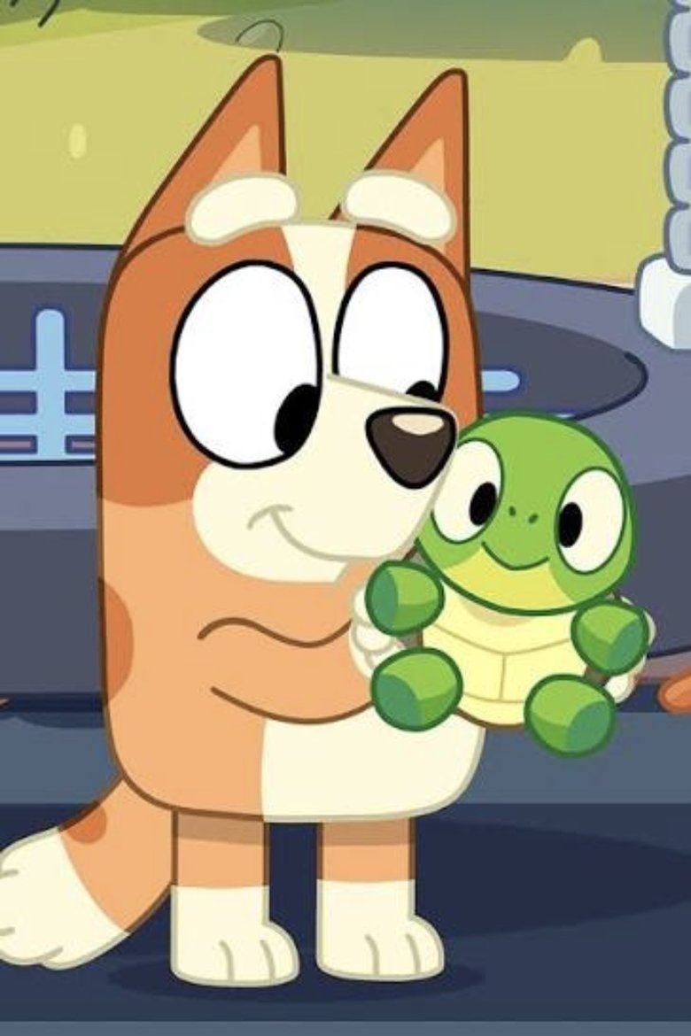 Bluey: Turtleboy (Auslan)