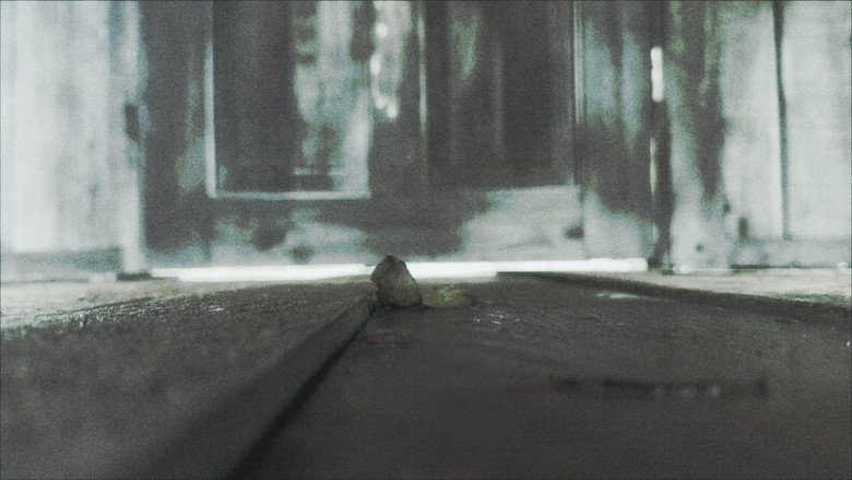 Imatge de The Aperture