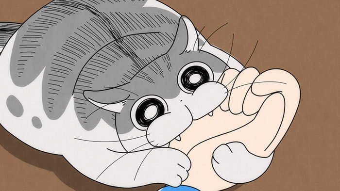 Still image for Nights with a Cat season 1 episode 21: Night 21: My Cat Bit Me