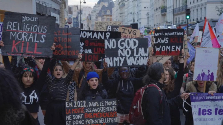 Imatge de IVG : Histoire(s) de combattantes