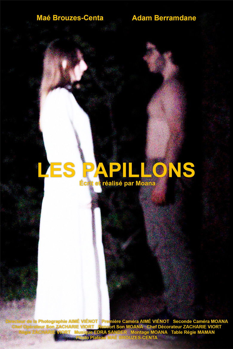 Imatge de Les Papillons