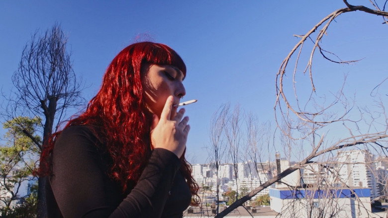 Imatge de Gabriela Misstrans: Delirio Disidente