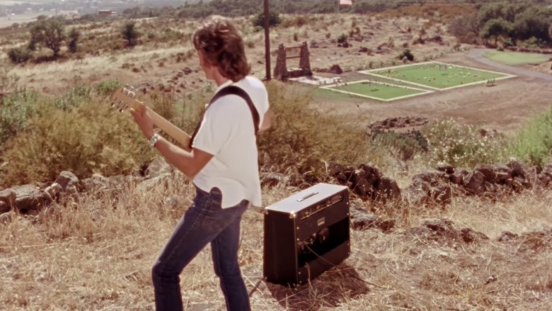 Gates of Heaven (1978)