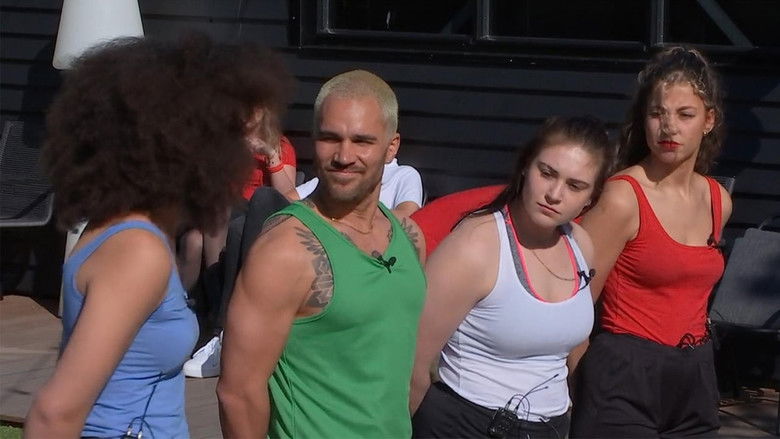 Still image for De Bondgenoten season 1 episode 108: Episode 108