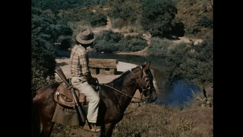 Gallery image from g2Qi0bQdt95xHkvsOYH3G1d60dY.jpg