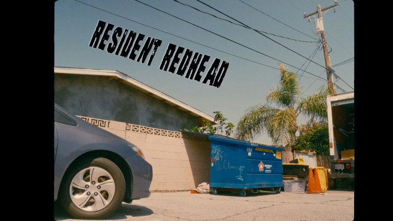 Imatge de Resident Redhead