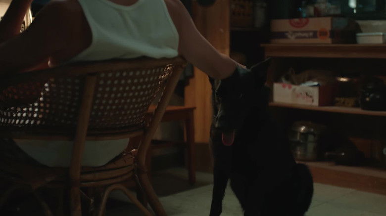 Still image for Small Police Station season 1 episode 24: Episode 24 Still image for Small Police Station season 1 episode 24: Episode 24