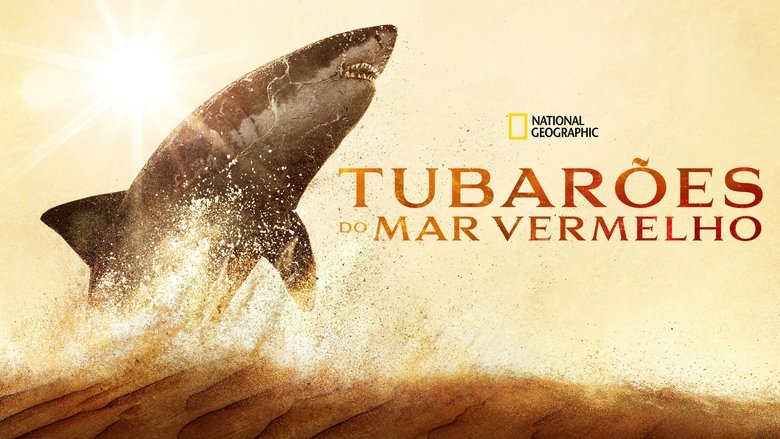Attack of the Red Sea Sharks (2024)