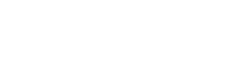 The Visitor