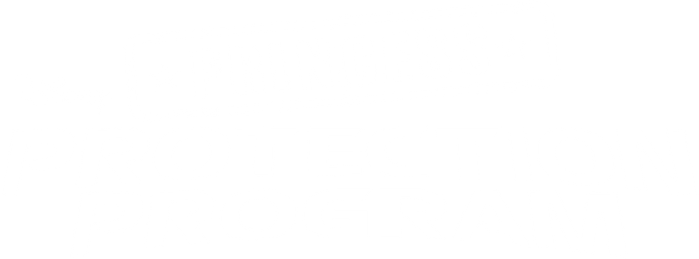 Princess Protection Program