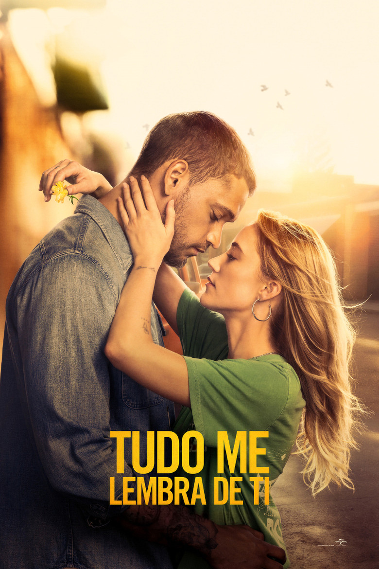 Póster la Película