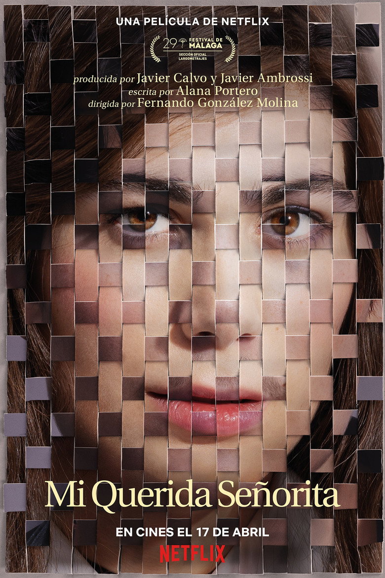 Póster la Película